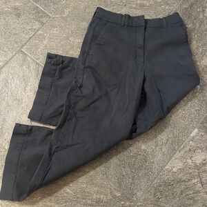 Everlane Dark Gray Chinos